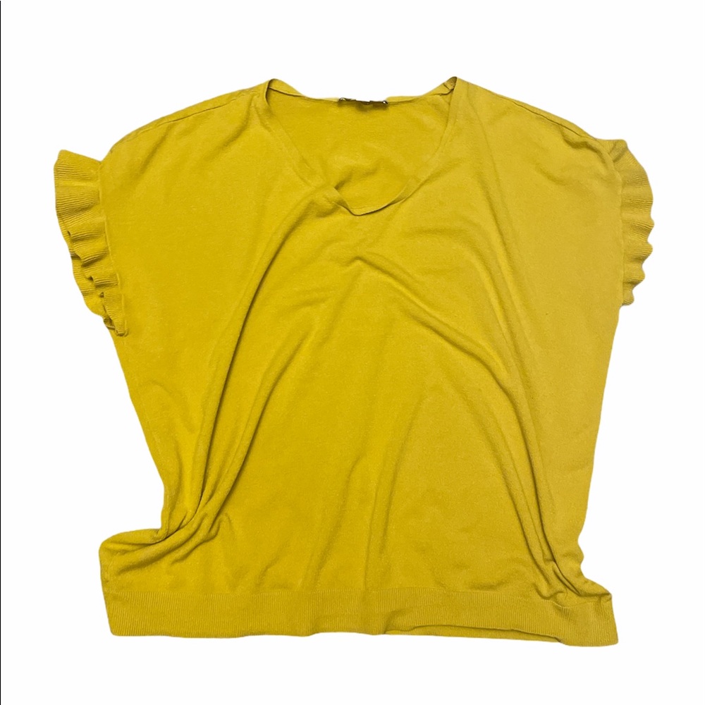 Loft PLUS 20-22 ruffle sleeve sweater blouse